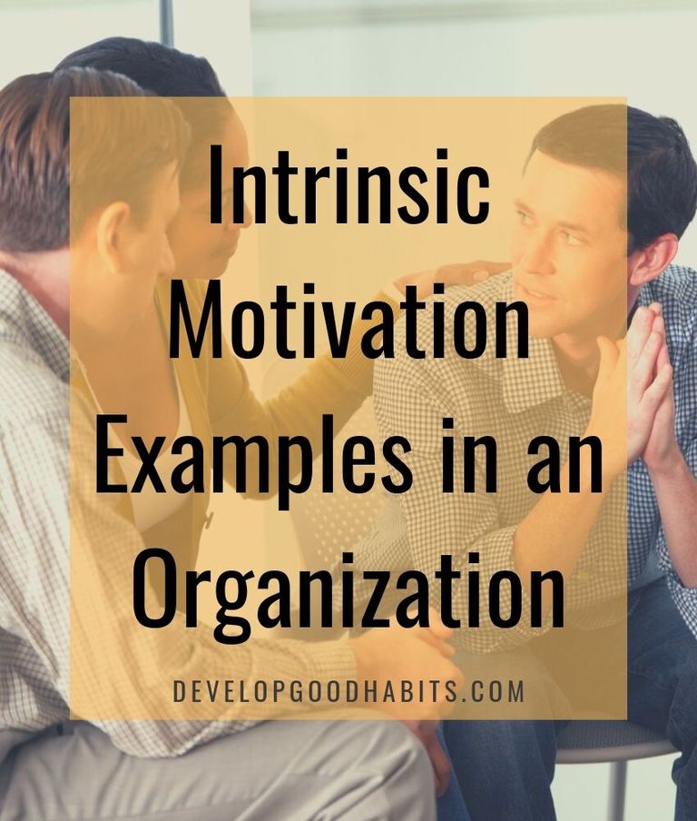 31 Intrinsic Motivation Examples That Drive You to Success