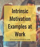 31 Intrinsic Motivation Examples That Drive You to Success