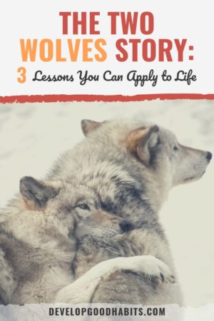 two wolves essay prompts