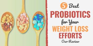 5 Best Probiotics for Your Weight Loss Efforts (2024 Review)